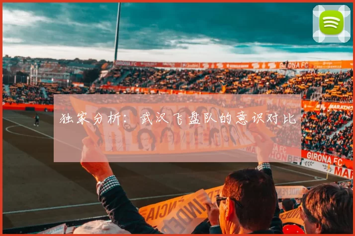 独家分析：武汉飞盘队的意识对比